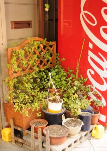 Flower Pots next to an entrance - and a vending machine