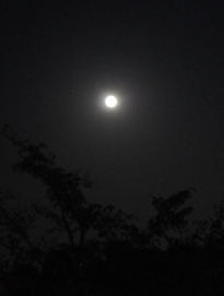 moon over osawa pond