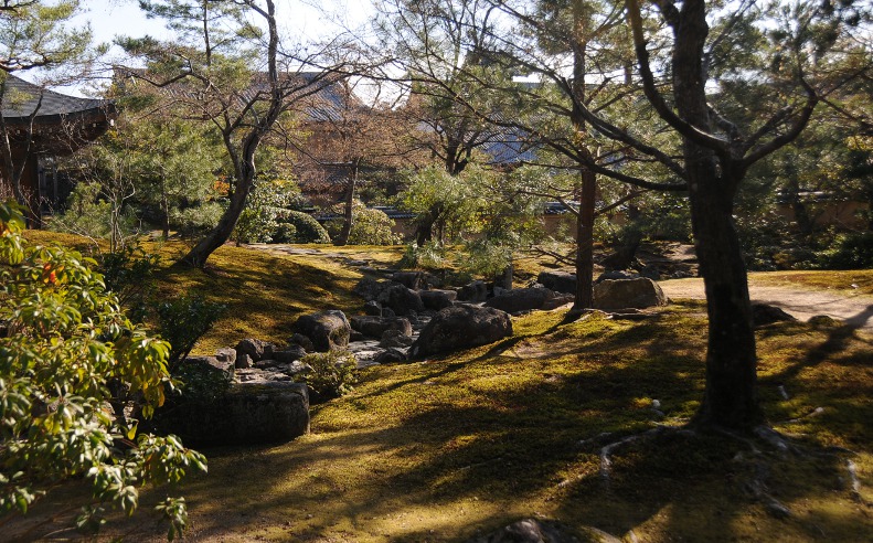 gardens at kinkaku-ji