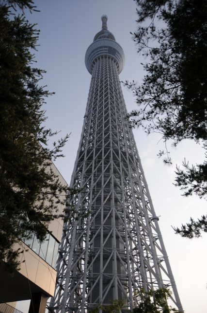 Tokyo skytree by day