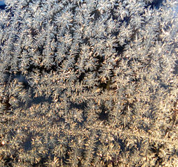 window frost 