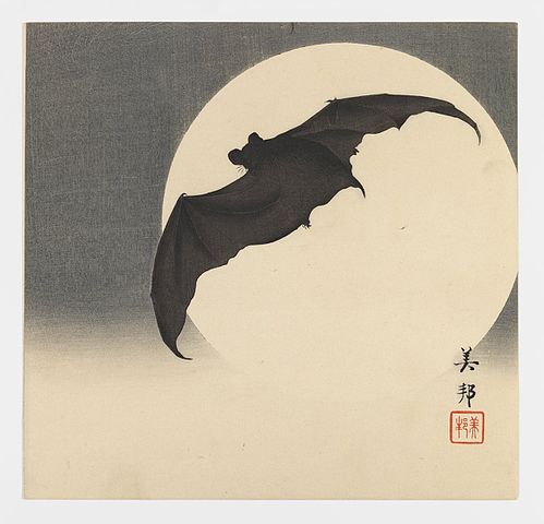 Bat before the Moon by Biho Takashi