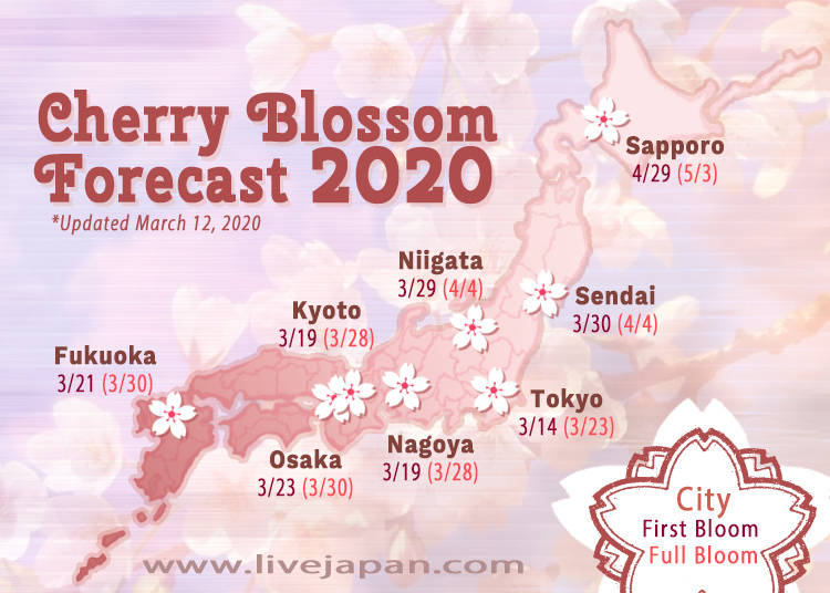 hanami forecast 2020