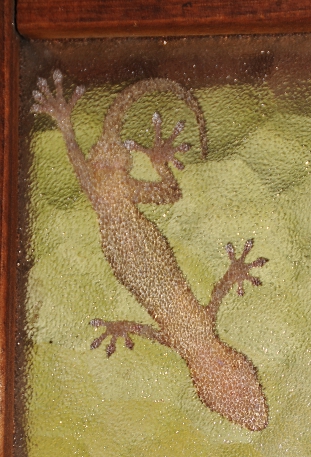 A gecko on a window pane, viewed from underneath