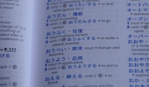 a page from my Japanese dictionary