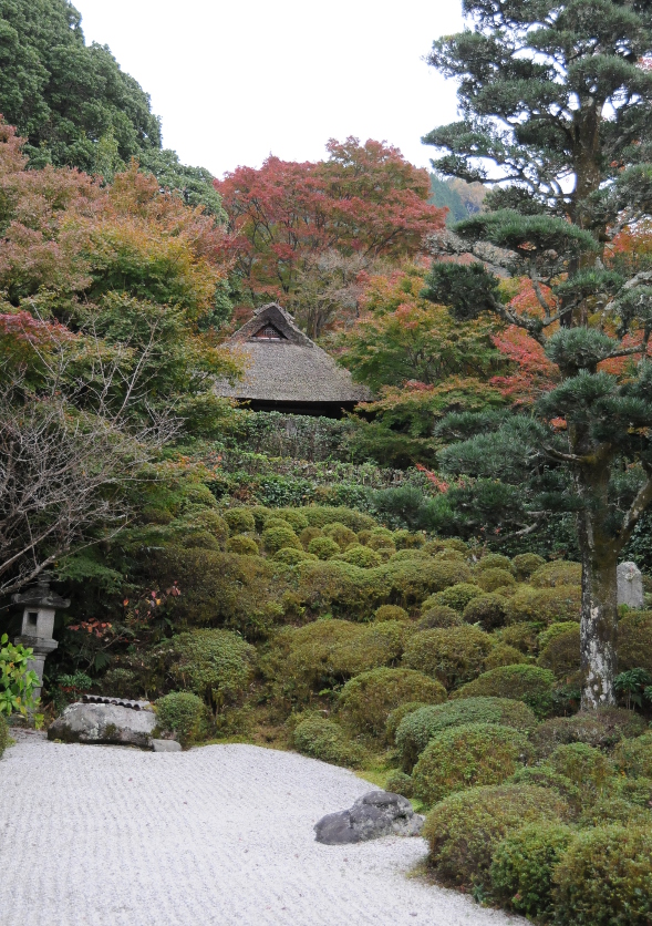 garden at Kompuku-ji temple