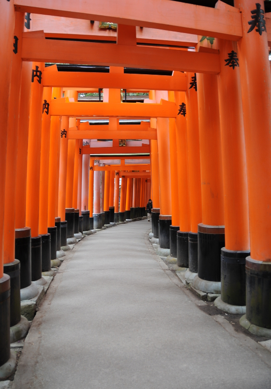 Torii lining the paths up Inari hill