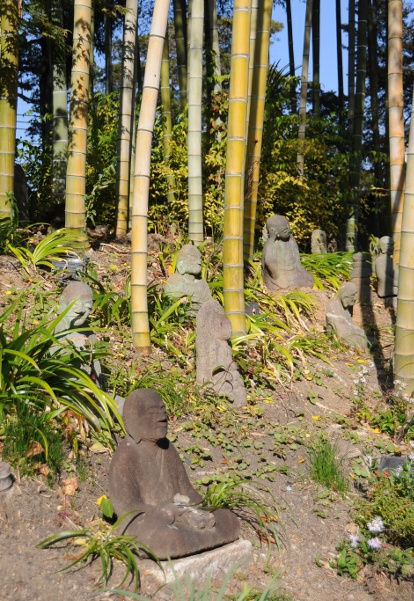 Meditating Buddhas in Hakusasonso.