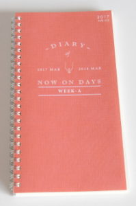 My Diary for 1917