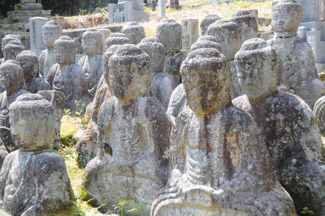 48 Buddhist Statues near Omi Takashima 