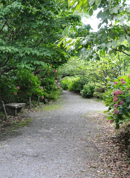 west garden of Umenomiya Taisha