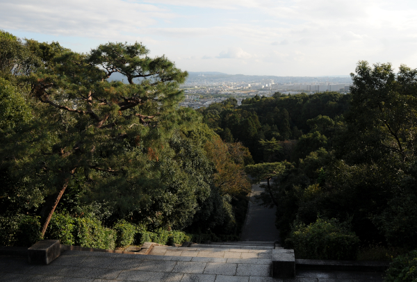 View from the Tomb of the Meiji Emperor
